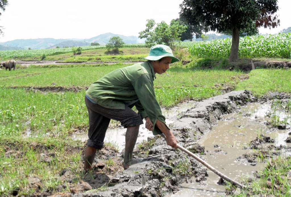 Nỗ lực của những cựu chiến binh người dân tộc thiểu số ở vùng sâu huyện Krông Bông